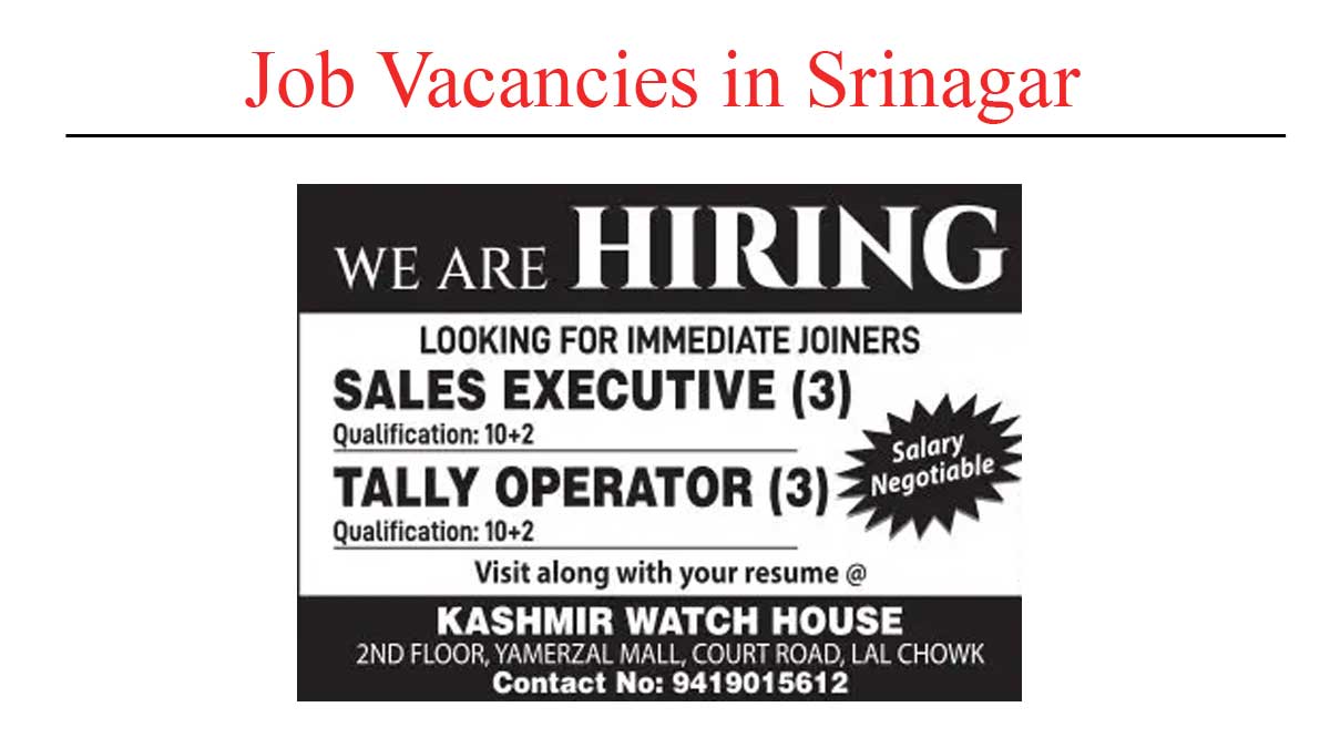 Tally operator sales executives jobs in srinagar | qualification 12th pass 2023