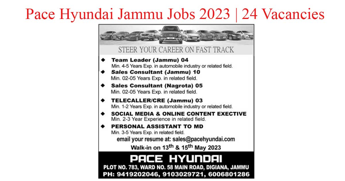 Pace hyundai jammu jobs 2023 | 24 vacancies 2023