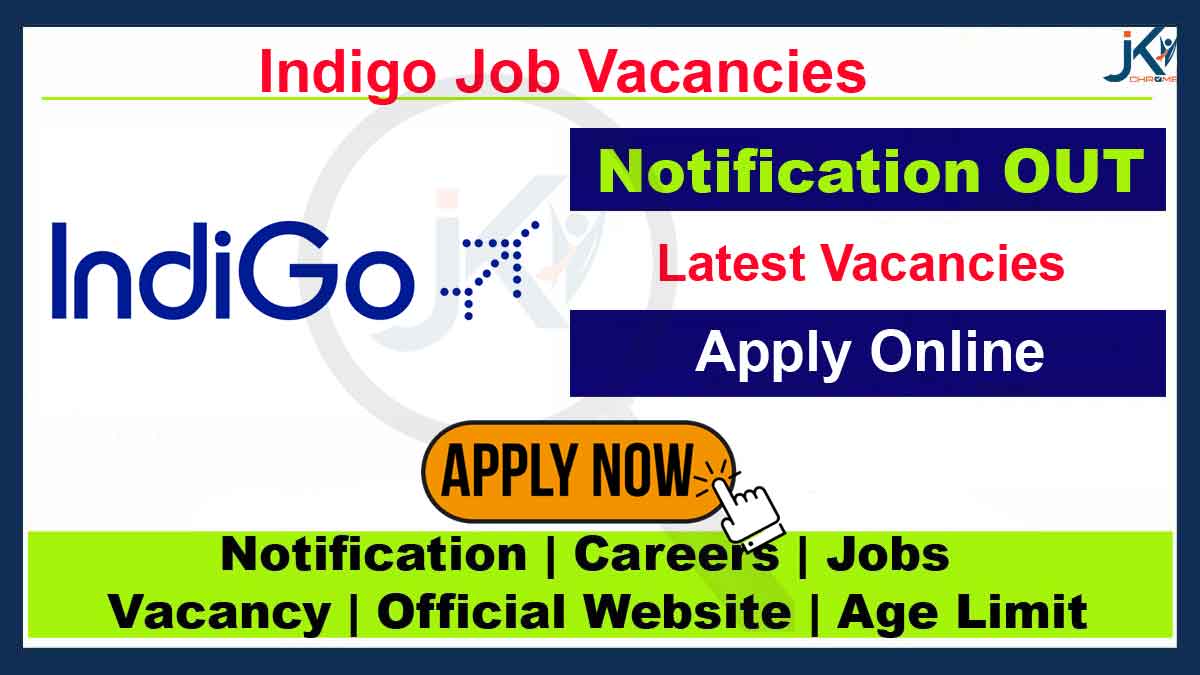 Indigo Jobs 2023, Hiring Executives