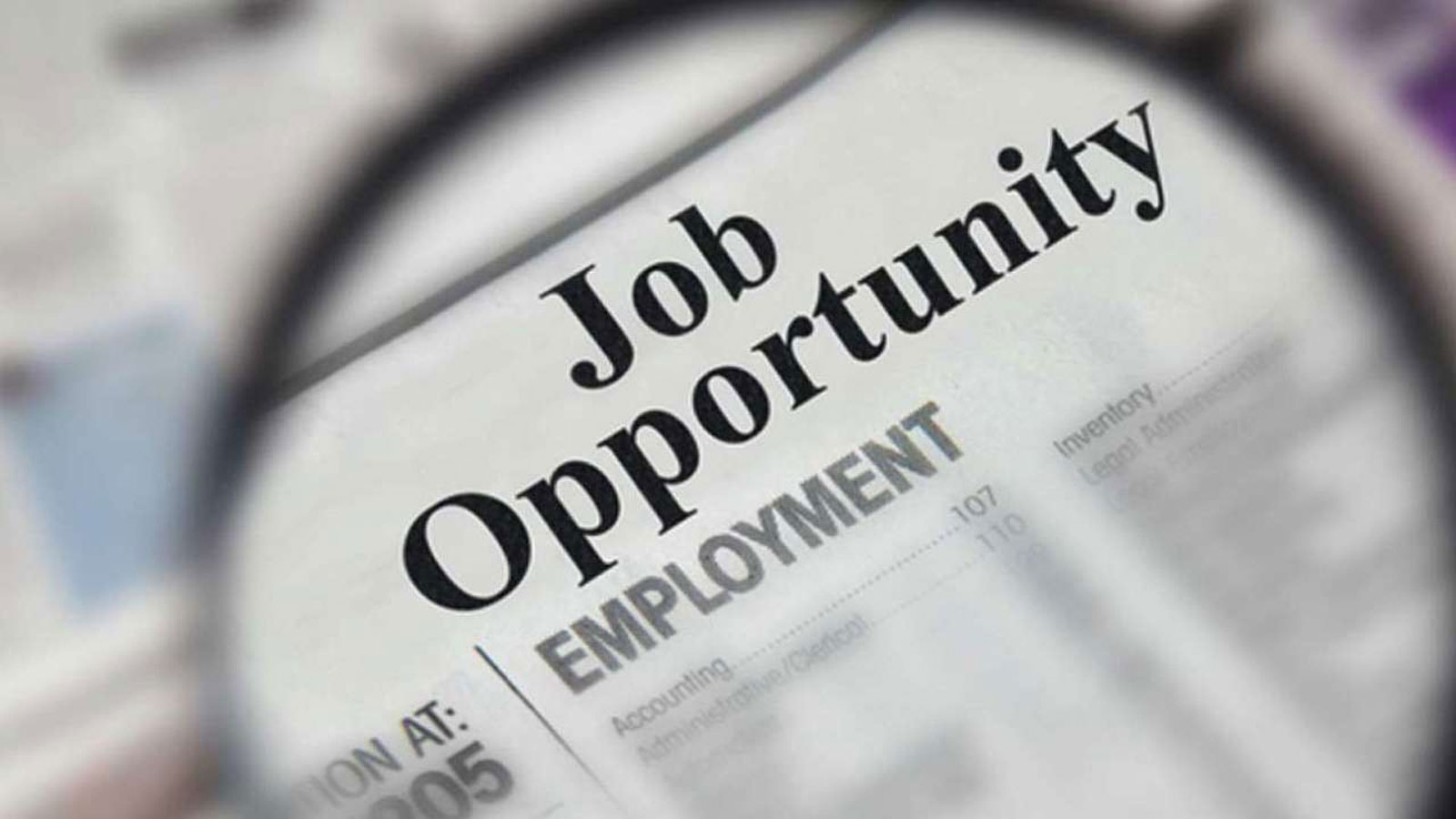 303 Posts | BVG India Limited Jobs for Srinagar & Jammu | Walk-in-interview