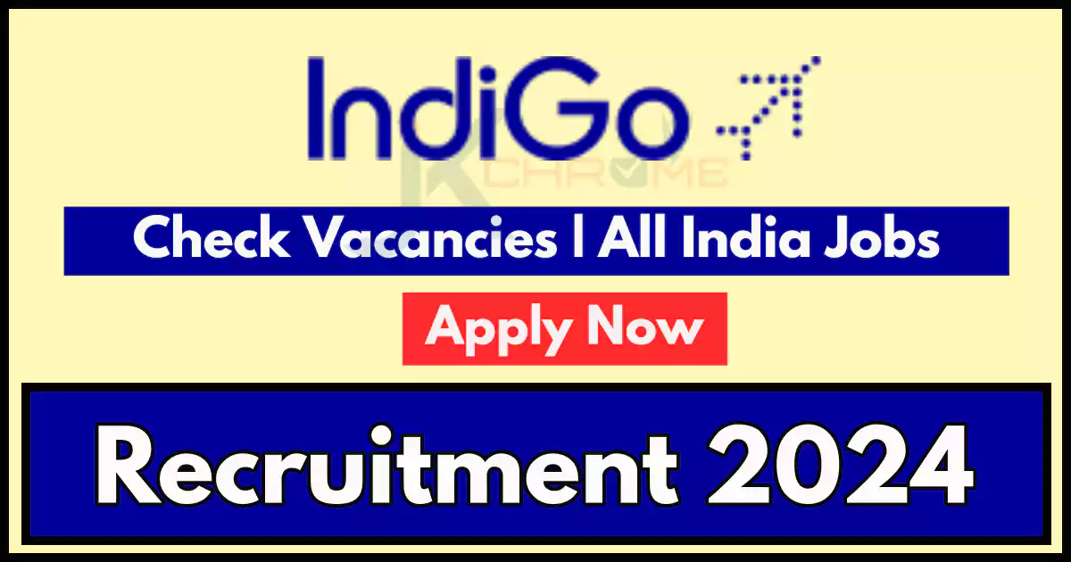 Indigo Executive Job Vacancies 2024