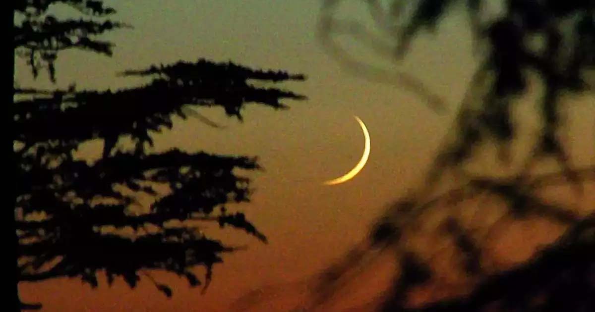 Shawaal Moon Sighted, Eid Tomorrow in JK: Grand Mufti Nasir-ul-Islam